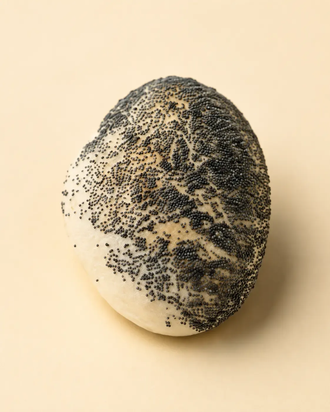 Bulka maková